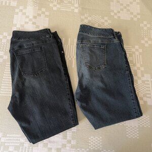Bundle of 2 Pairs 16R Jeggings from Torrid